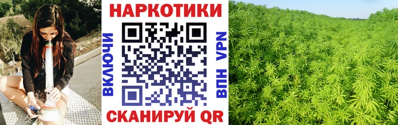 Канабис Гусев