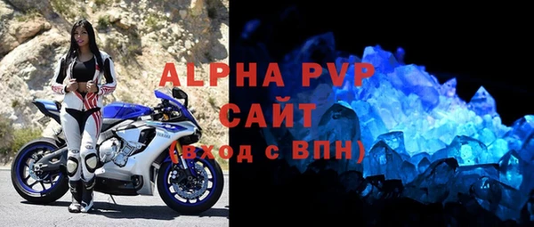 эйфоретик Богданович
