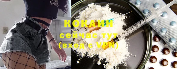 бошки Богородицк